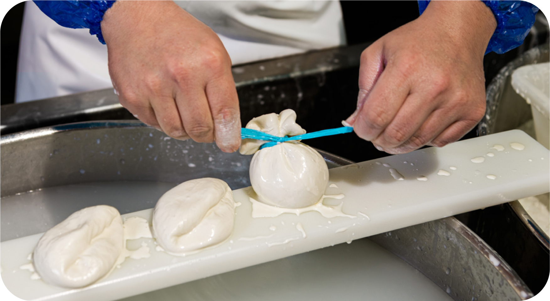 Festa della Burrata - foto 5